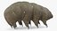 Tardigrade