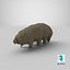 Tardigrade