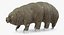Tardigrade
