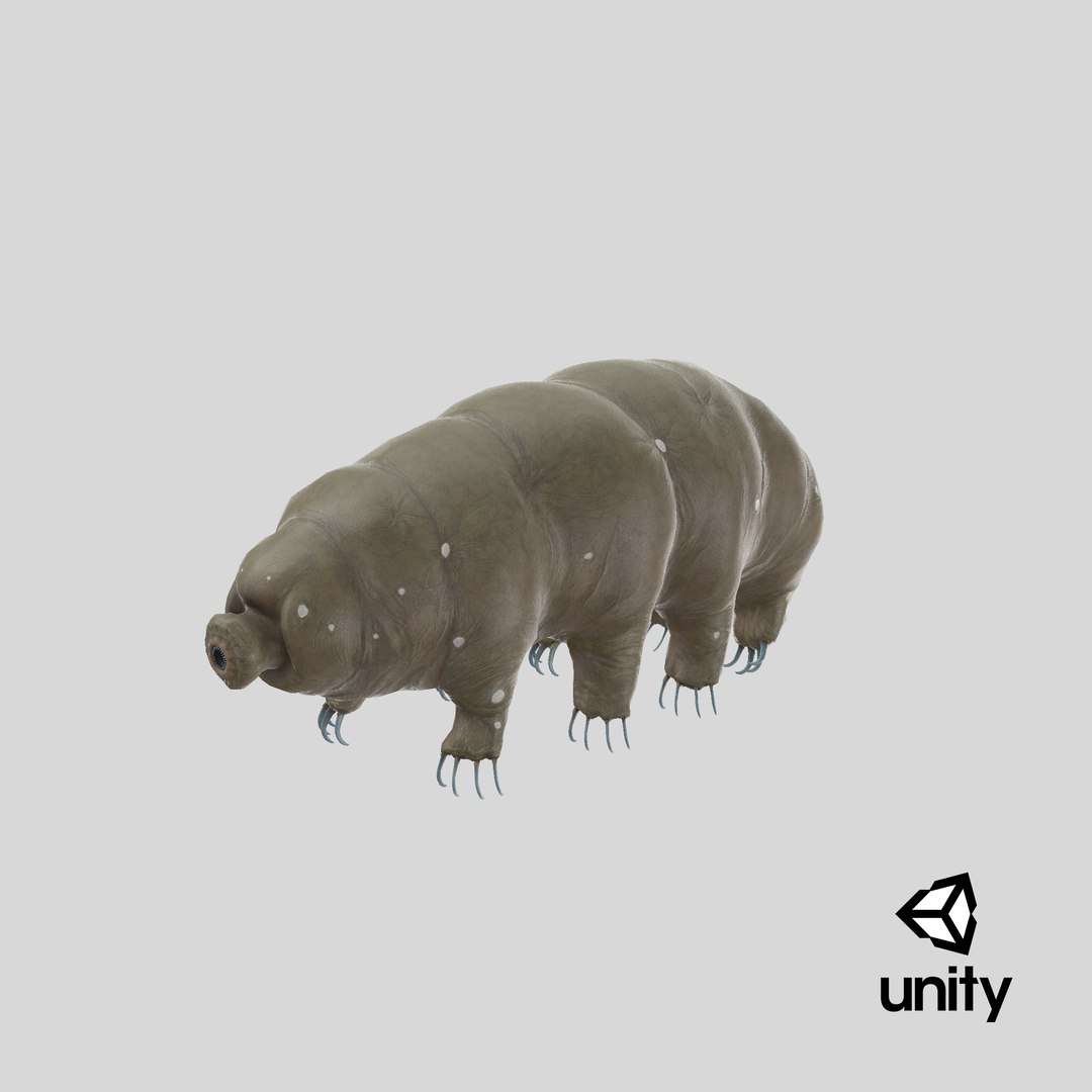 tardigrade microscopic water 3D model https://p.turbosquid.com/ts-thumb/4Y/MBXGqz/huTxinAM/stemcell_unity_render/png/1578980867/1920x1080/fit_q87/0e0dab56e6b18c244f3dc71903640be3c5ac8257/stemcell_unity_render.jpg