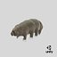 Tardigrade