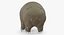Tardigrade