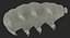 Tardigrade