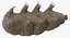 Tardigrade