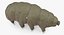 Tardigrade