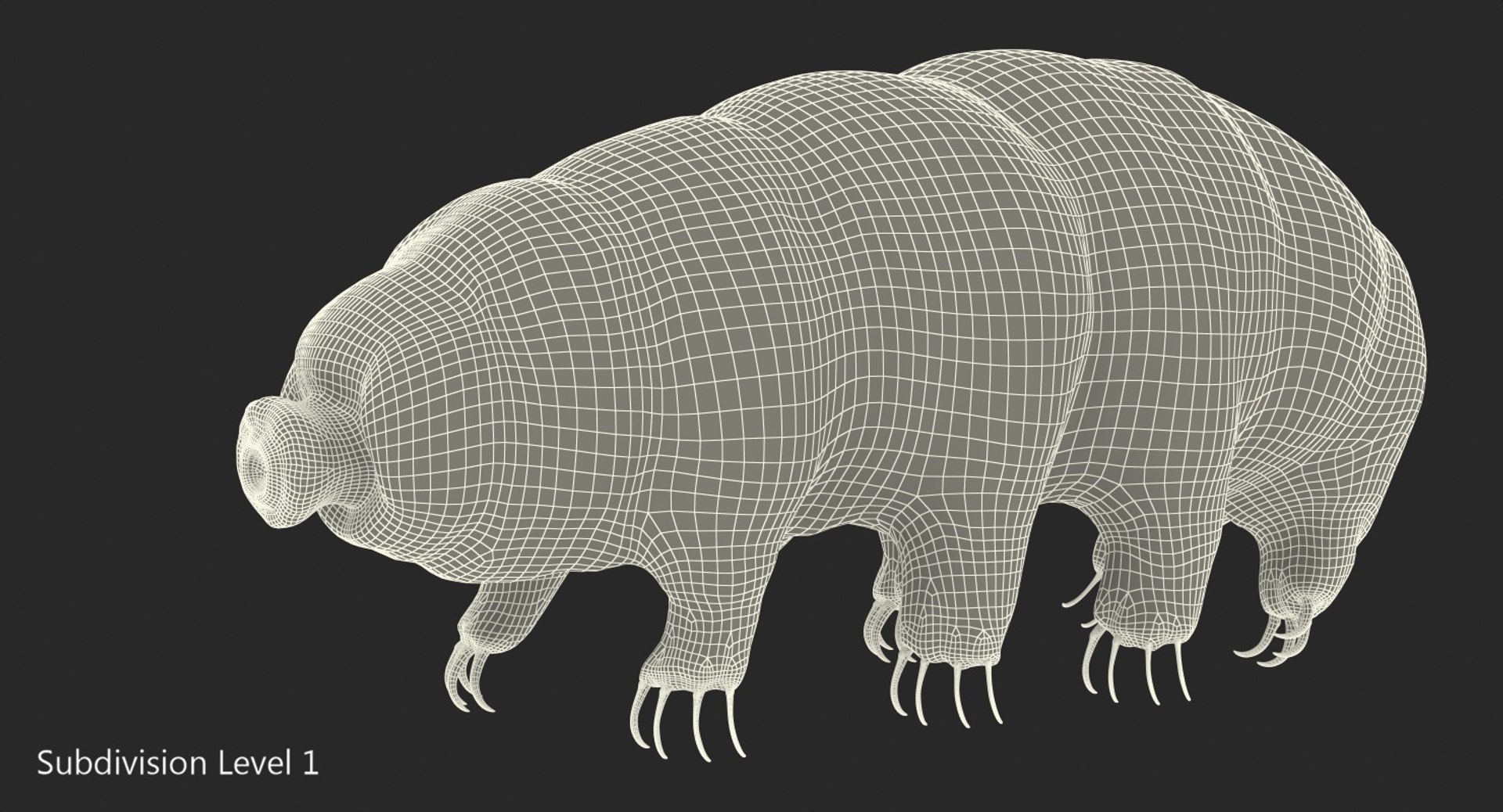 tardigrade microscopic water 3D model https://p.turbosquid.com/ts-thumb/4Y/MBXGqz/yvb8Uh73/tardigrademb3dmodel012/jpg/1560382959/1920x1080/fit_q87/fa6a26445b44b9de4162c8bc55e81f065f2ea9b3/tardigrademb3dmodel012.jpg