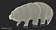 Tardigrade