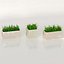 3D plant grass pot