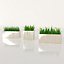 3D plant grass pot