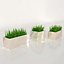 3D plant grass pot