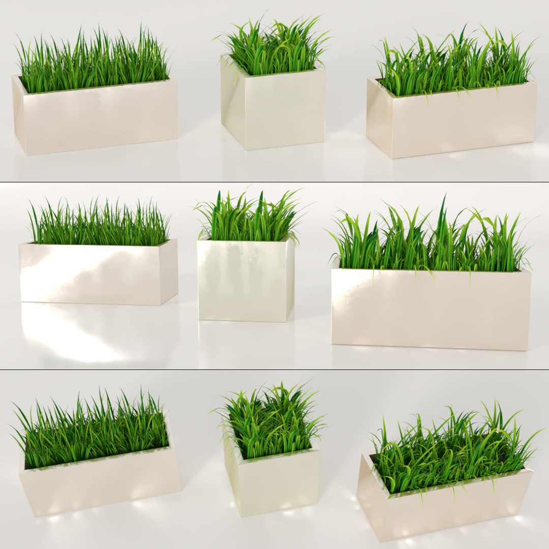 3D plant grass pot https://p.turbosquid.com/ts-thumb/4Y/Rr2d8X/vMSs970q/preview0/jpg/1567250871/1920x1080/fit_q87/3b1f9ca4f08f3c35785a969cb45a7c79875a03db/preview0.jpg