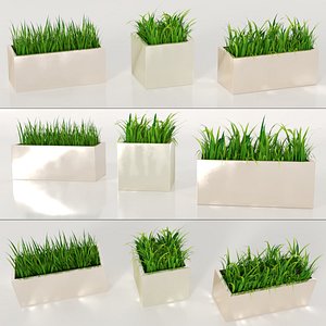 3D plant grass pot