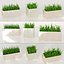 3D plant grass pot