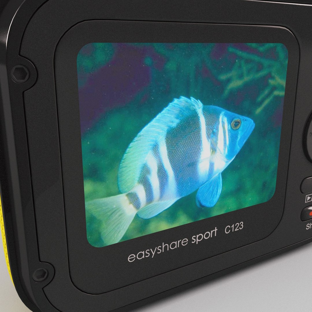Kodak Easyshare Sport C123 Max