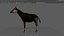 3D Okapi rigged model