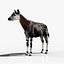 3D Okapi rigged model