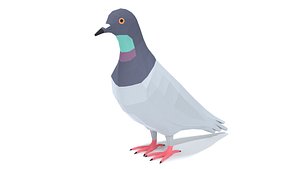 3D model Low Poly Cartoon Pigeon