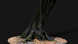 old fantasy tree sculpted trunk hdetail photogrammetry 3D model