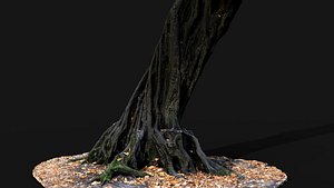 old fantasy tree sculpted trunk hdetail photogrammetry