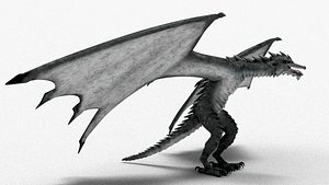 Dragon 01
