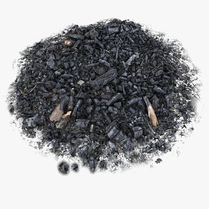 Realistic Wood Burnt Ashes Spot Pile Soil