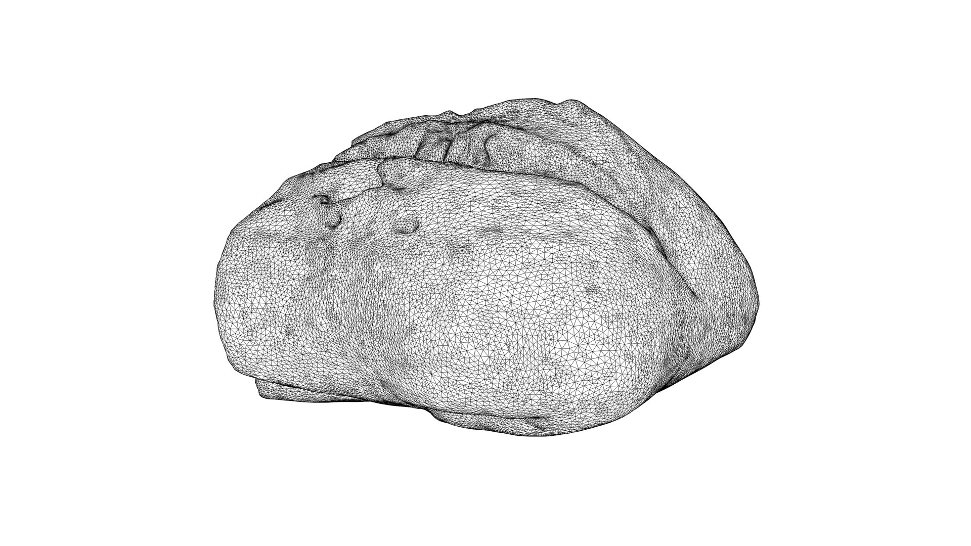3D Photorealistic 3D scan of half a rye bread model https://p.turbosquid.com/ts-thumb/4Z/182ljo/78/10/jpg/1736807847/1920x1080/fit_q87/c349bc1294cc86eb01cbc1556dd91d78c5786f2b/10.jpg