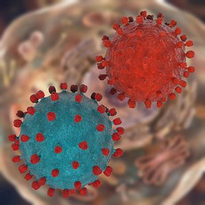 HIV Virus Particle Set