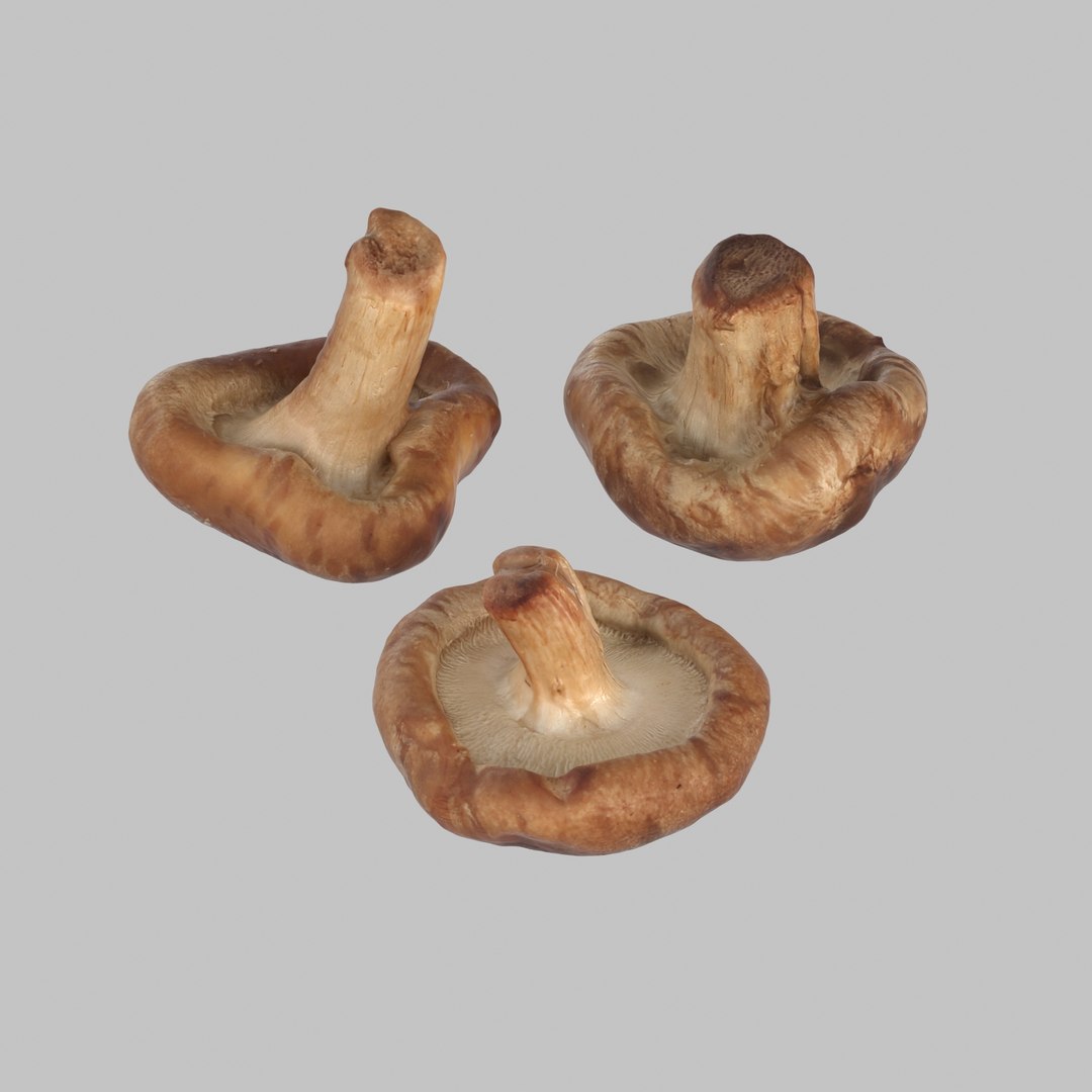 3d model shiitake mushroom https://p.turbosquid.com/ts-thumb/4Z/7D4wOD/8OeemrZl/05/jpg/1488301484/1920x1080/fit_q87/adb51809486791c2eb28950d6eb1b2b1084e8ebc/05.jpg
