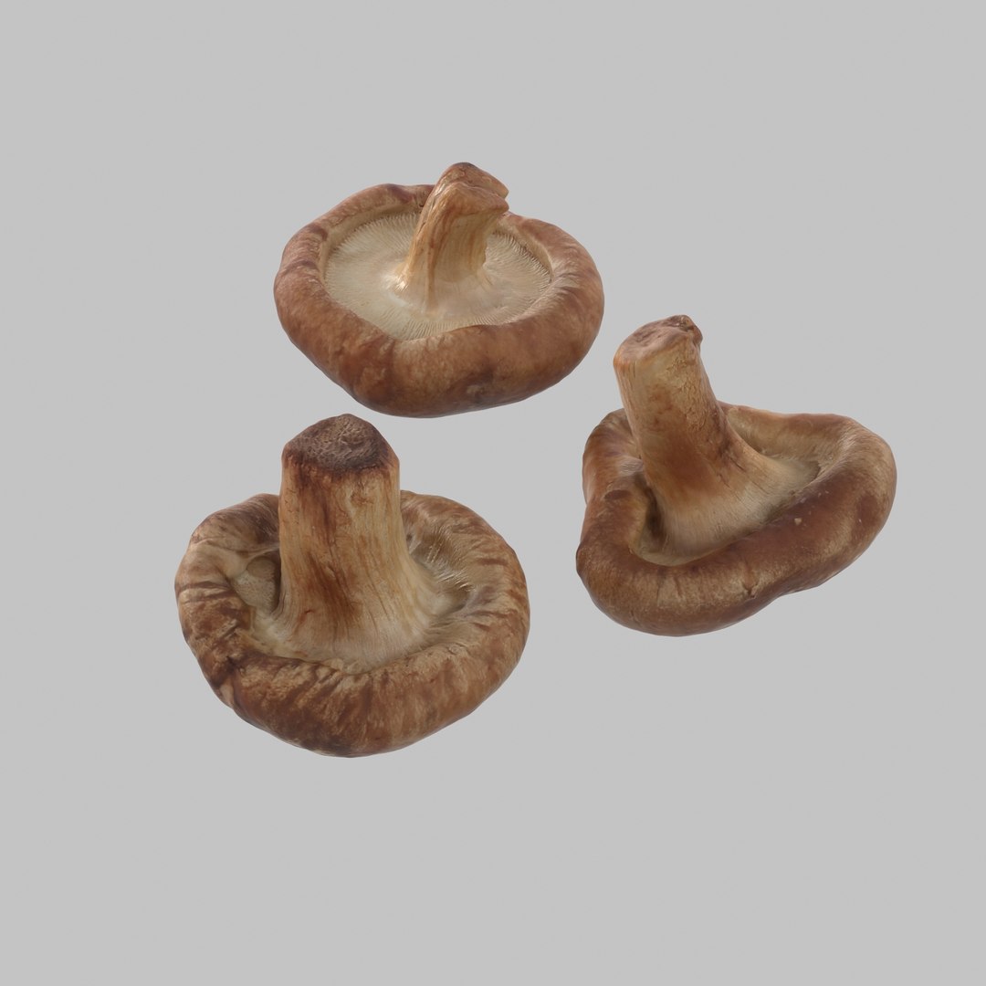 3d model shiitake mushroom https://p.turbosquid.com/ts-thumb/4Z/7D4wOD/ChabMwAt/06/jpg/1488301484/1920x1080/fit_q87/2966fe0fdddd32d2b8b57e4fde5e711c41bd91d4/06.jpg
