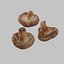 Shiitake Mushrooms Collection