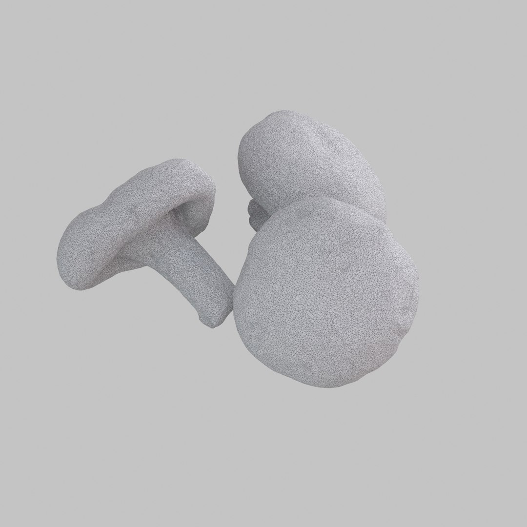 3d model shiitake mushroom https://p.turbosquid.com/ts-thumb/4Z/7D4wOD/GTAbiH80/w04/jpg/1488301484/1920x1080/fit_q87/2df2c68d9e9cc29e37ecedf5ec0cff5768341e99/w04.jpg
