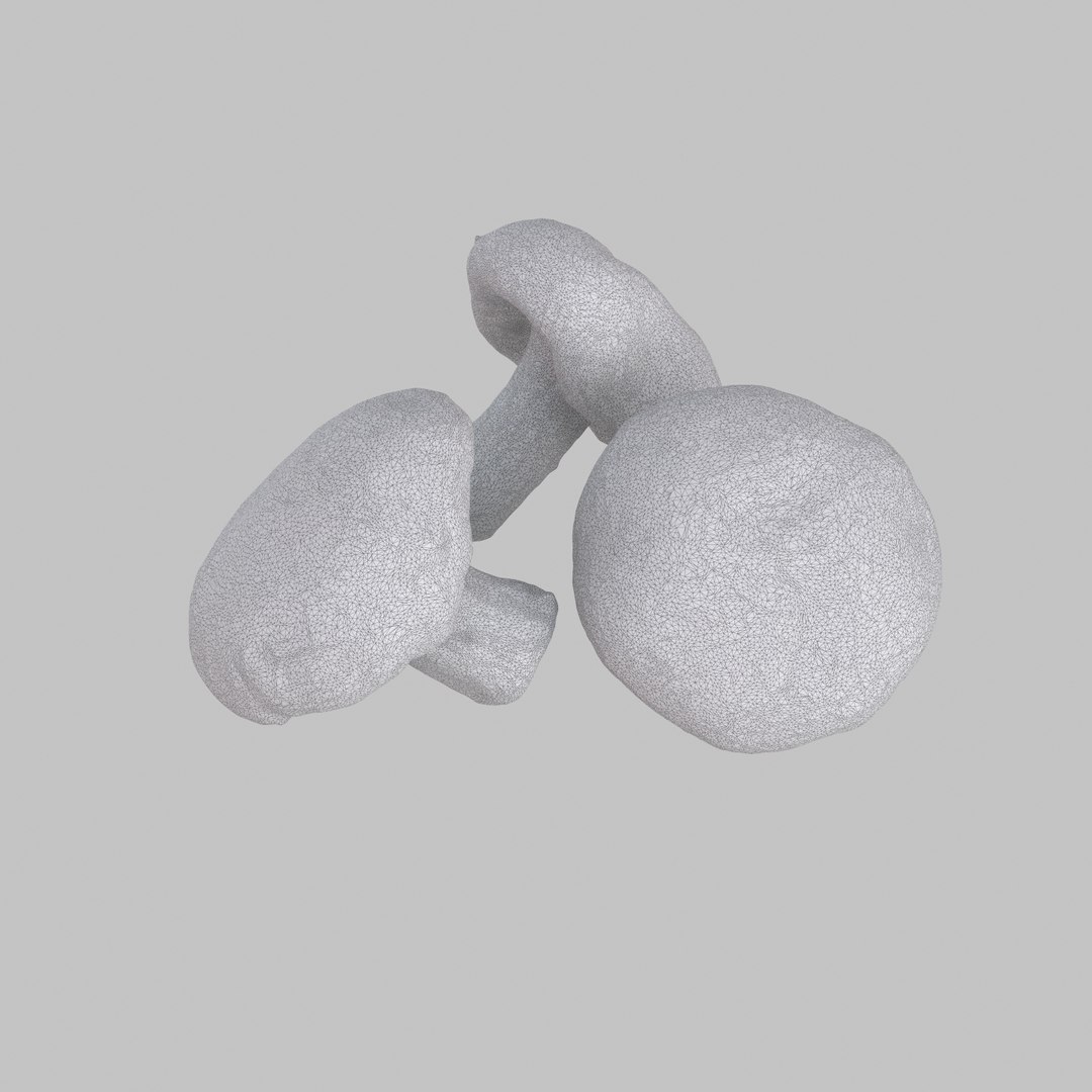 3d model shiitake mushroom https://p.turbosquid.com/ts-thumb/4Z/7D4wOD/M7gTrT9q/w01/jpg/1488301484/1920x1080/fit_q87/7851ad68d489f006419656a4e9468a06d9522b04/w01.jpg