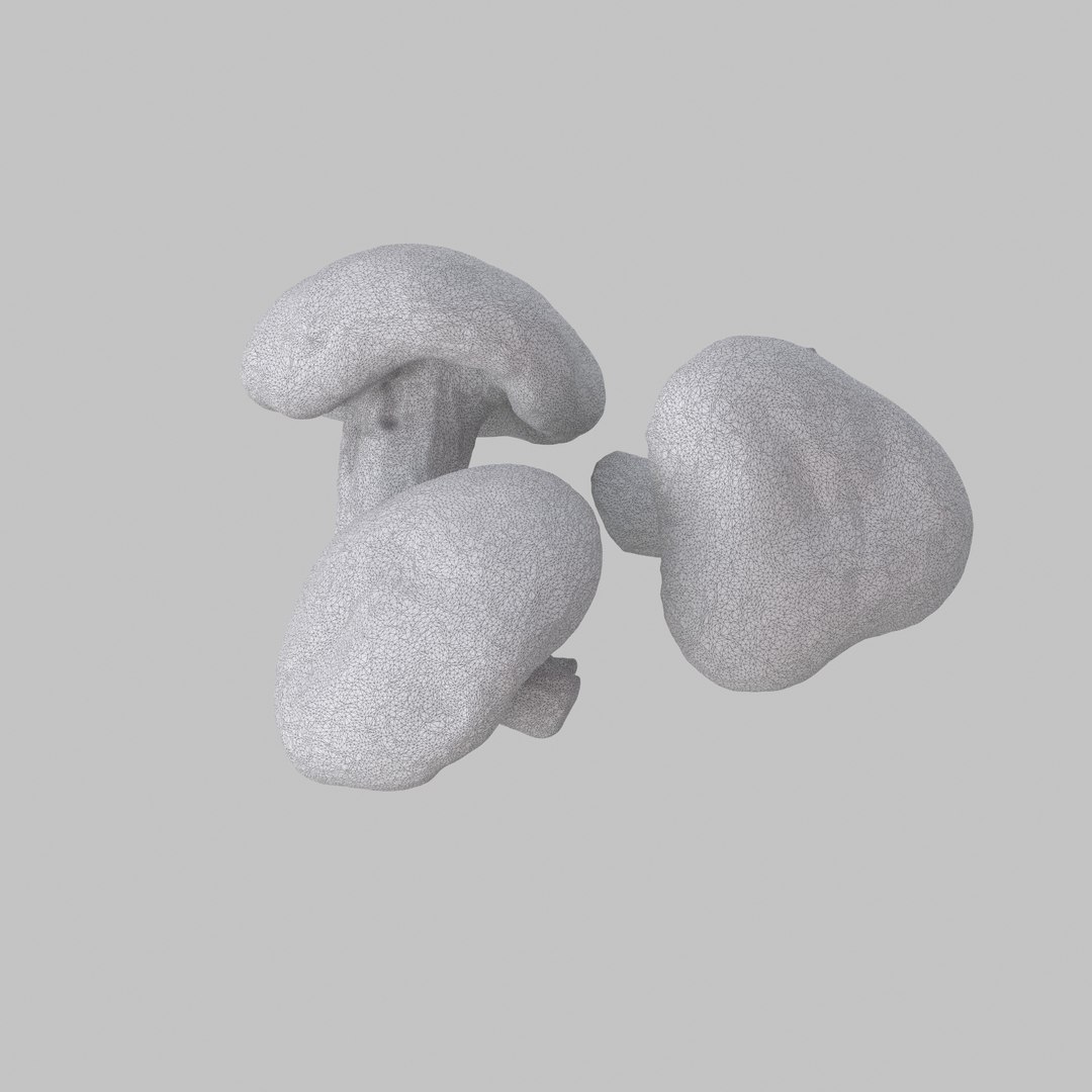 3d model shiitake mushroom https://p.turbosquid.com/ts-thumb/4Z/7D4wOD/l0cMwPWe/w02/jpg/1488301484/1920x1080/fit_q87/3f77e0b59a692e751dbe91fb5b458a33f752d180/w02.jpg