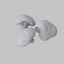 Shiitake Mushrooms Collection