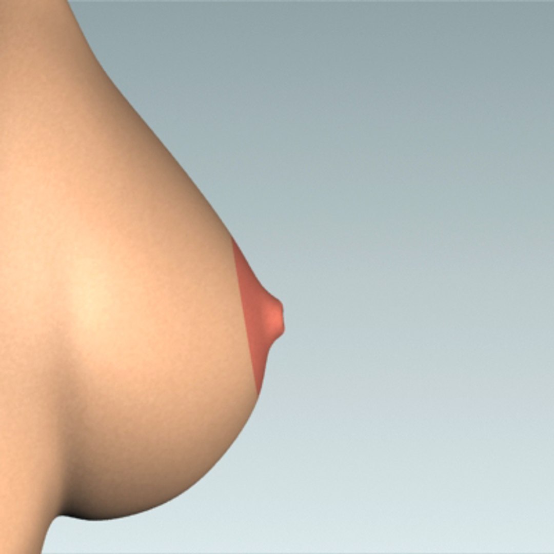 3d model breast cancer laps https://p.turbosquid.com/ts-thumb/4Z/CxP1Sg/zabO17z7/bc_10/jpg/1253196555/1920x1080/fit_q87/91b474028d3b01a0b29fa115584afeddc1c78e89/bc_10.jpg