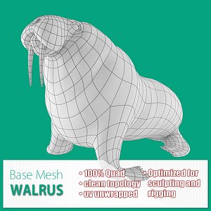 Walrus Base Mesh