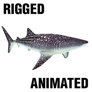 3d whale shark