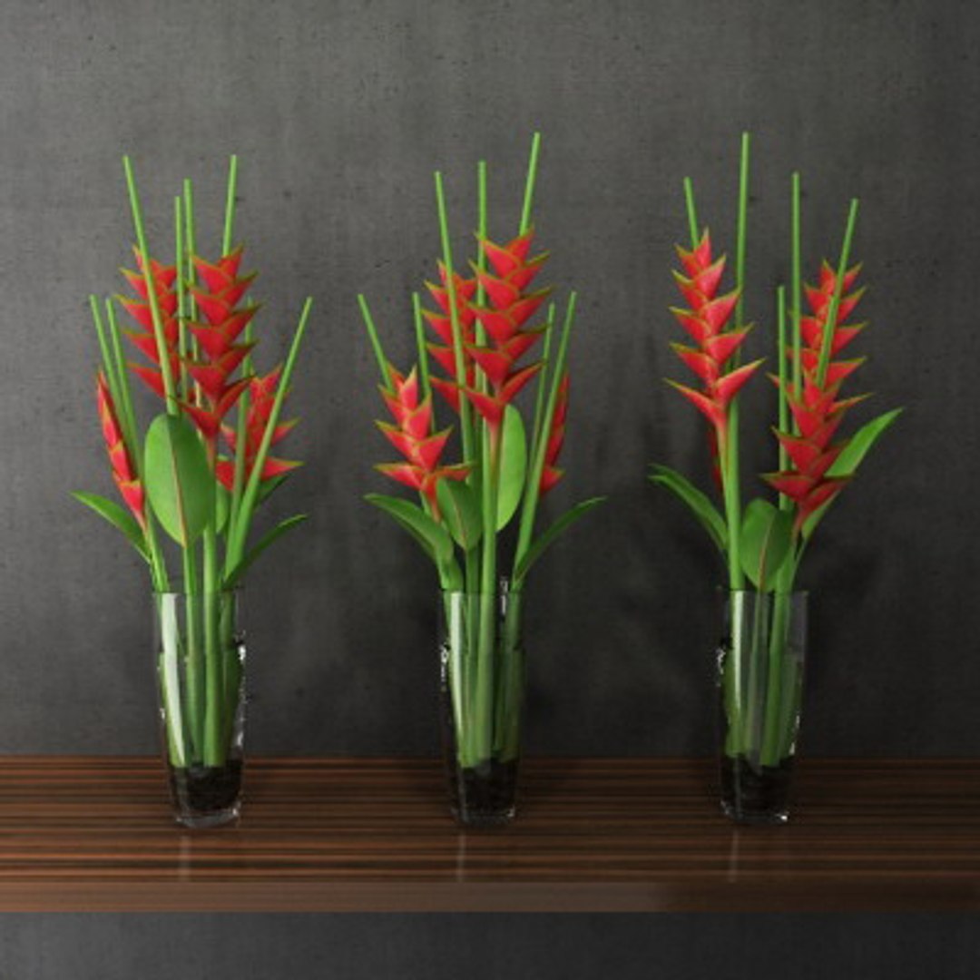 max flower heliconias glass vase https://p.turbosquid.com/ts-thumb/4Z/KTUWdf/fIKaQNb1/heliconiasinglassvase_02/jpg/1245888158/1920x1080/fit_q87/d22cdd2a70718428fb27757f97ec55ea93411fd1/heliconiasinglassvase_02.jpg