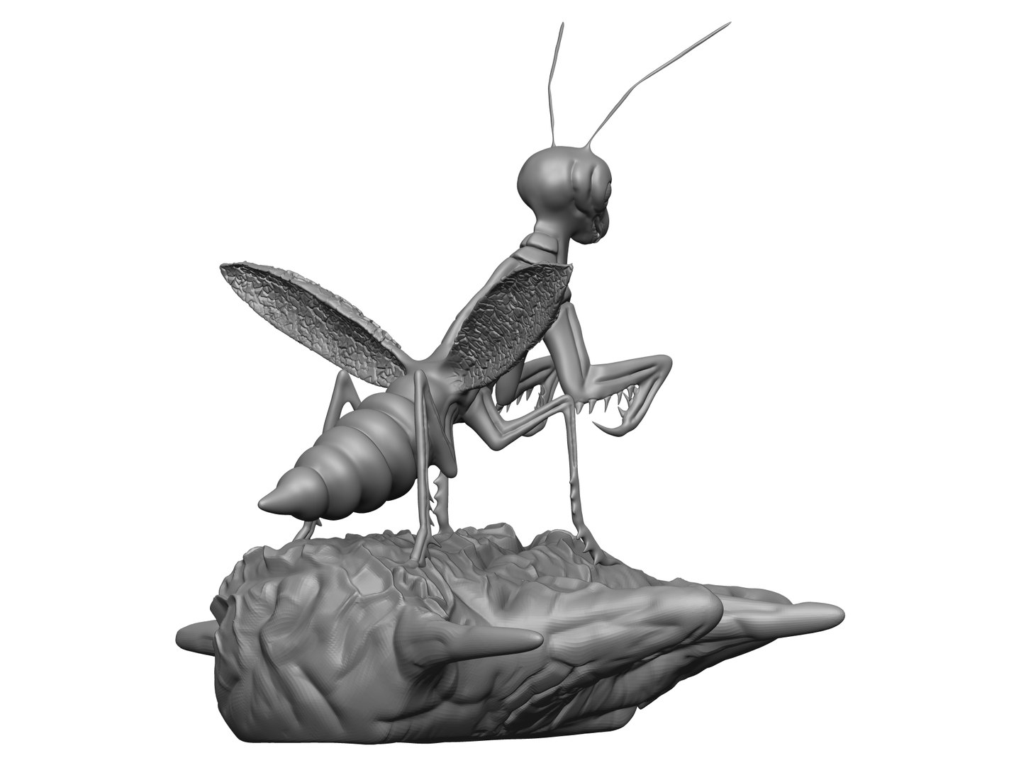 Realistic Praying Mantis Model - TurboSquid 1874356