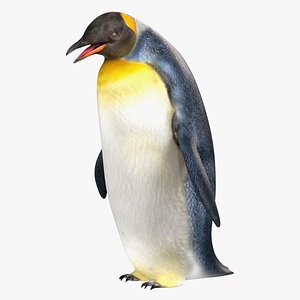 3D Penguin