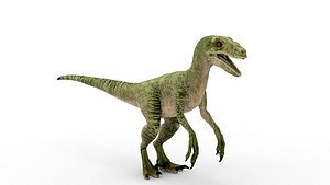 3D Velociraptor