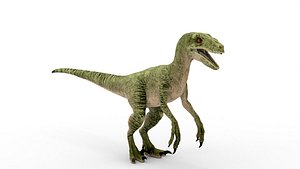 Low poly Velociraptor