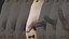 3D male penis Blend Shape 04