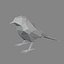 Vogel - Tit