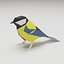 Vogel - Tit