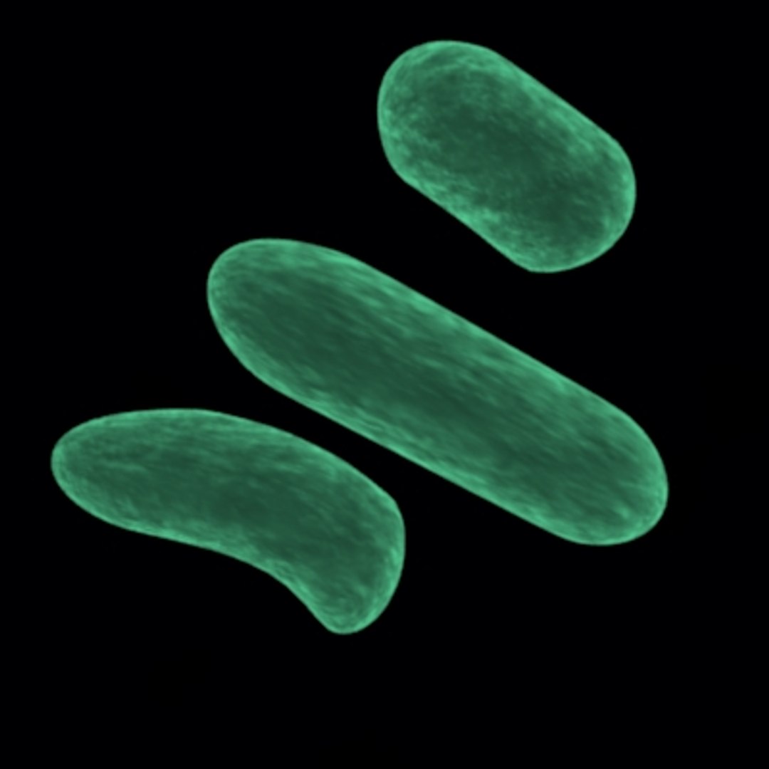bacteria cell 3d x https://p.turbosquid.com/ts-thumb/4Z/zMhIzt/Hw29zznt/bacteria2/jpg/1157486939/1920x1080/fit_q87/c4d9d505e84ecbf0f396437b045898616fd1d256/bacteria2.jpg