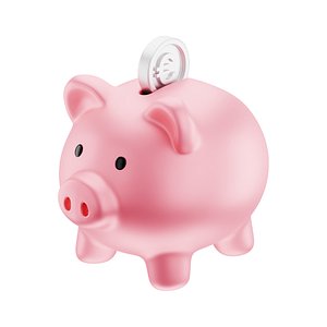 Coin Euro Piggy Bank Icon