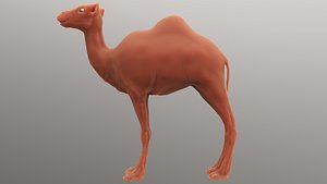sculpt camel 3D model
