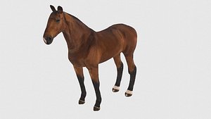 Low Poly Horse Rigged With Realistic Texture 3D model