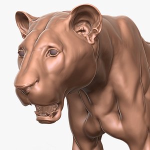 Lioness Primary Forms Zbrush Sculpt 3D model